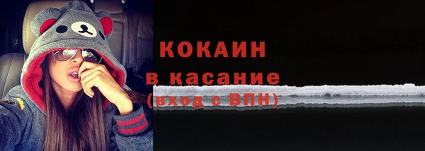 индика Абаза