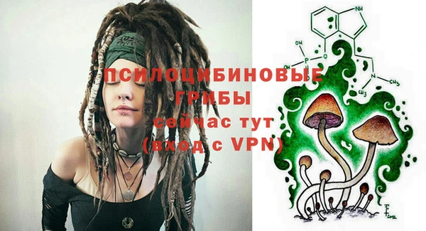 индика Абаза
