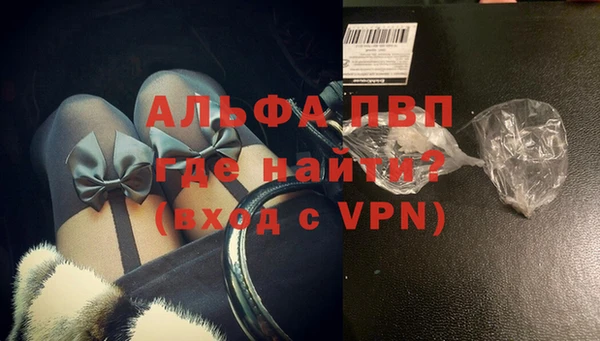 индика Абаза